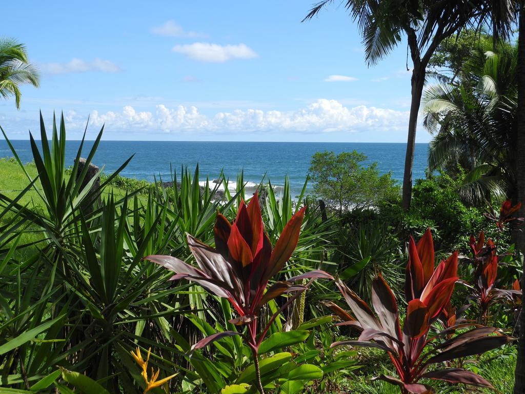 Casas Pelicano Playa Junquillal Экстерьер фото