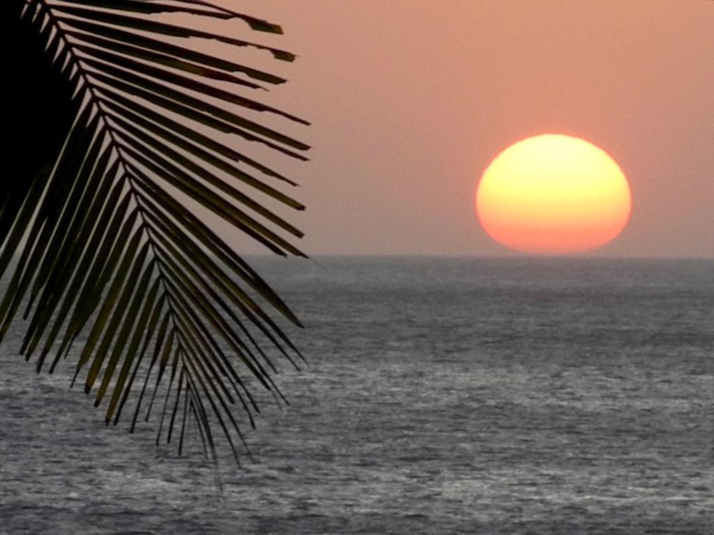 Casas Pelicano Playa Junquillal Экстерьер фото